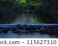 Genji fireflies reflected on the water surface 115627310