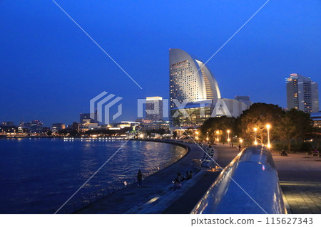 橫濱港未來最大綠地臨港公園夜景 橫濱港未來最大綠地臨港公園夜景 115627343