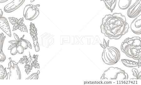 Fresh and healthy farm vegetables, vector minimalist horizontal banner, veggies icons border frame. Space for text, isolated background. Organic product. For poster, menu, flyer, cover, invitation 115627421