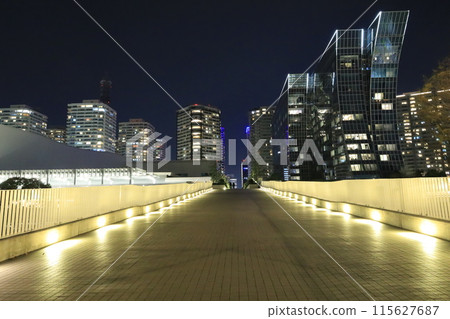 Night view of skyscrapers in "Yokohama Minato Mirai" 115627687