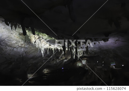 特殊天然紀念物秋吉堂雨傘 特殊天然紀念物秋吉堂雨傘 115628074