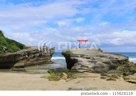 <Shizuoka Prefecture> Izu Shirahama Coast: Beautiful emerald green beach 115628119