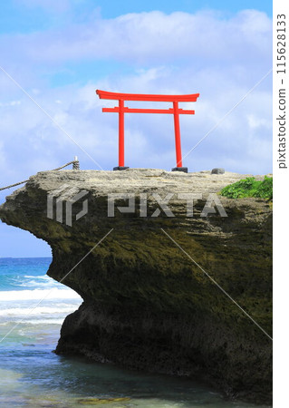 【靜岡縣】伊豆白濱海岸,美麗的翠綠海灘 【靜岡縣】伊豆白濱海岸,美麗的翠綠海灘 115628133