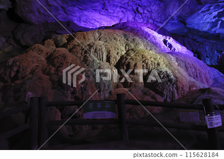 特別天然紀念物 秋芳堂 蓬萊山 115628184
