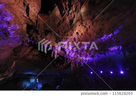 Mysterious limestone cave, a special natural monument, Akiyoshido Cave 115628203