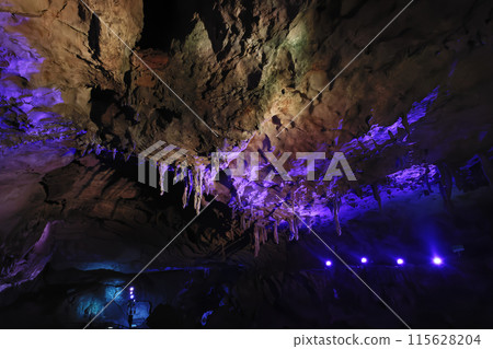 Mysterious limestone cave, a special natural monument, Akiyoshido Cave 115628204