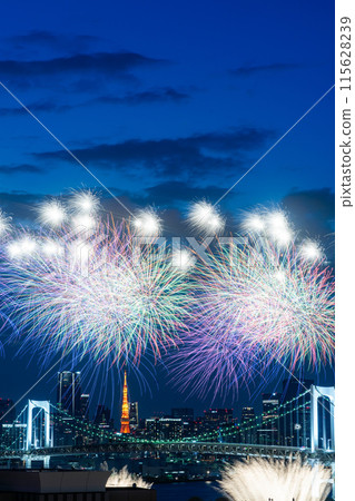 台場煙火照亮了東京的天空 台場煙火照亮了東京的天空 115628239