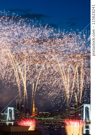 Odaiba fireworks brighten up the Tokyo sky 115628241