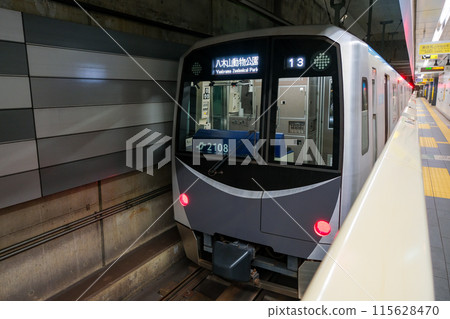 宮城縣仙台市 仙台市地鐵東西線 仙台市交通局 2000 系列列車 宮城縣仙台市 仙台市地鐵東西線 仙台市交通局 2000 系列列車 115628470