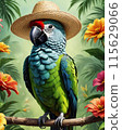 Parakeet 115629066