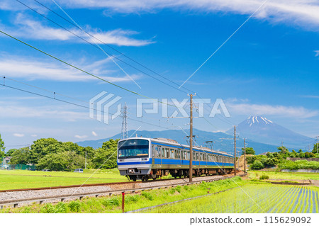 (Shizuoka Prefecture) An Izu Hakone Railway train running through rice paddies after rice planting has been completed (Shizuoka Prefecture) An Izu Hakone Railway train running through rice paddies after rice planting has been completed 115629092