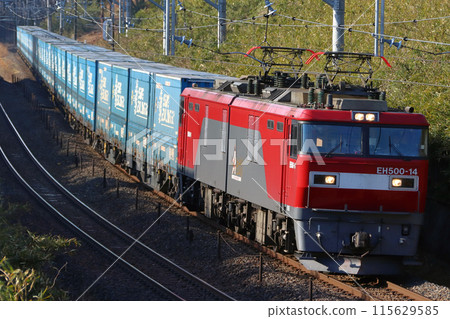 Freight train on the Tohoku Main Line: Toyota Longpath Express (Tochigi Prefecture) Freight train on the Tohoku Main Line: Toyota Longpath Express (Tochigi Prefecture) 115629585