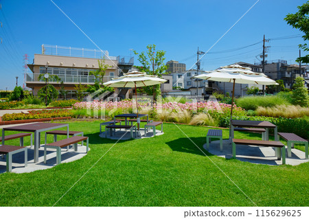 Rest area and ornamental grass garden in Miyamae Park 115629625