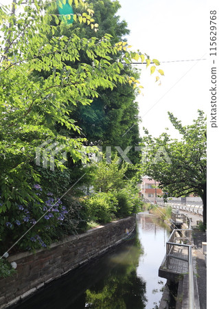 東京都足立區積沼城水上樂園 115629768