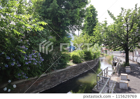 Minumadai Water Park, Adachi Ward, Tokyo 115629769