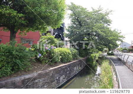 東京都足立區積沼城水上樂園 115629770
