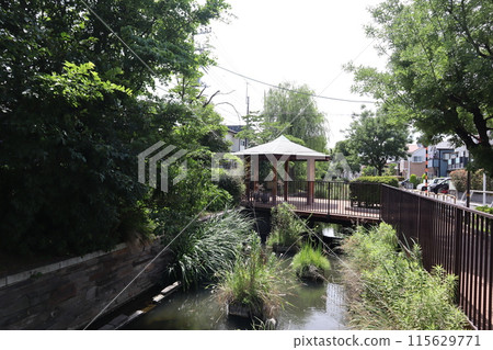東京都足立區積沼城水上樂園 115629771