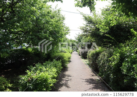 東京都足立區積沼城水上樂園 東京都足立區積沼城水上樂園 115629778