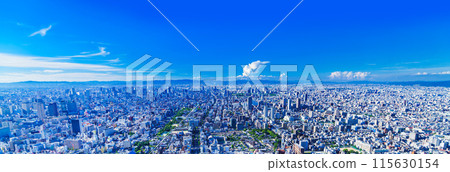 A panoramic view of the Osaka plains and the Osaka cityscape from Minami [Kansai cityscape] 115630154