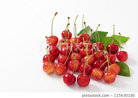 白色背景櫻桃 115630180