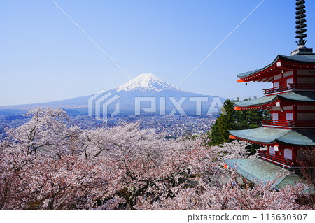 Japan Yamanashi Prefecture Arakurayama Sengen Park Spring cherry blossoms Mount Fuji Five-story pagoda 115630307