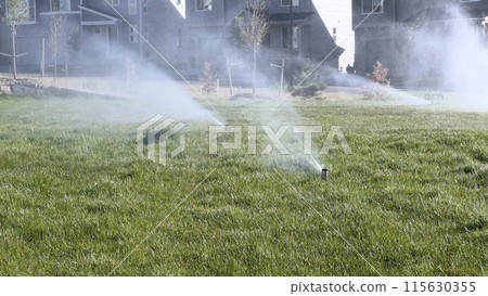 A suburban neighborhood scene featuring automatic sprinklers watering a lush green lawn in front of modern homes. The sprinklers create a misty effect, emphasizing the freshness and care of the 115630355