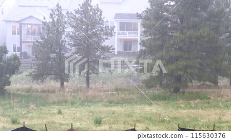 A vivid image capturing a heavy hailstorm over a suburban neighborhood. The storm pelts down on houses, trees, and an open field, creating a dramatic scene of intense weather conditions. A vivid image capturing a heavy hailstorm over a suburban neighborhood. The storm pelts down on houses, trees, and an open field, creating a dramatic scene of intense weather conditions. 115630376