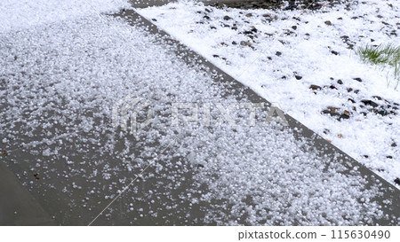 A lawn and rock garden blanketed in hail following a storm, with the green grass and small shrubs peeking through the layer of ice. The contrast between the white hail and the greenery creates a 115630490