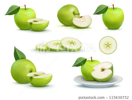 Green apple. Fruit with leaves. Glossy vegetable. Art shiny and juicy fresh food. Spring and summer harvest. Natural product. Whole and half. Cut slices on plate. Vector ripe pieces set Green apple. Fruit with leaves. Glossy vegetable. Art shiny and juicy fresh food. Spring and summer harvest. Natural product. Whole and half. Cut slices on plate. Vector ripe pieces set 115630732