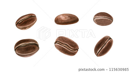 Six roasted coffee beans with detailed textures. Realistic plant brown seeds. Aromatic grains. Organic raw food. Watercolor illustration. For cafe settings or coffee product promotions 115630985