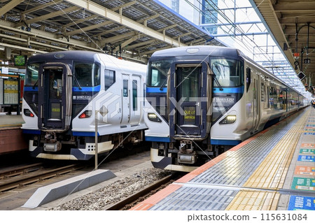 E257系列Odoriko列車線路停靠東京站 E257系列Odoriko列車線路停靠東京站 115631084