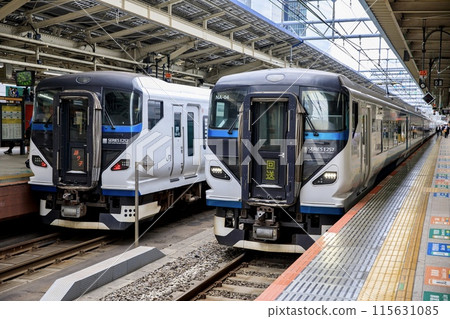A line of E257 series express trains, Odoriko, parked at Tokyo Station A line of E257 series express trains, Odoriko, parked at Tokyo Station 115631085