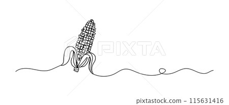 Corn continuous one line drawing, single line art element, minimalist sketch line vector illustration, autum and thanksgiving concept 115631416