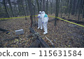 Forensic scientist examining a hazardous part of the forest wearing protective suits, assessing damage 115631584