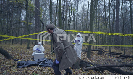 Police detective crossing yellow tape to examine a deceased person, crime investigation 115631586