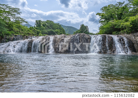 都營町（愛知縣）流動的常春藤風景 115632082