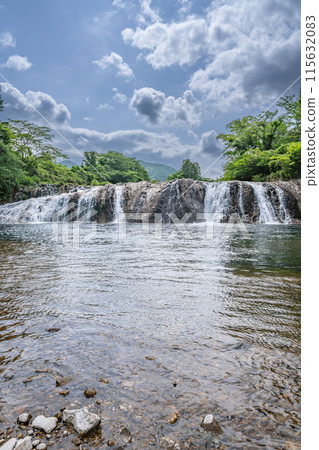 都營町（愛知縣）被新綠包圍的常春藤堤風景 115632083