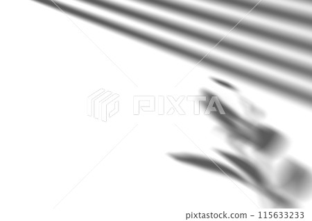 Shadow from window blinds and plant, overlay effect. Realistic gray shadow on white background. Applicable for product presentation, photos, backdrop. Sun light, rays. 3D render. 115633233