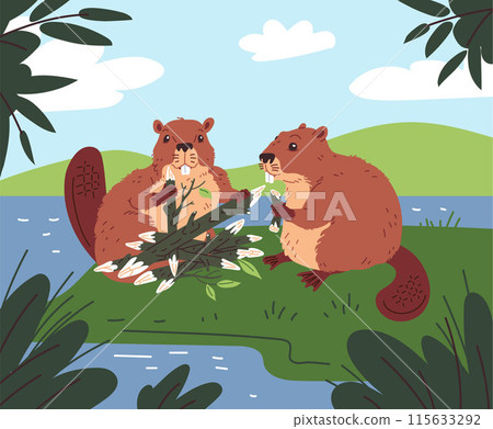 Two brown beavers prepare logs for a dam. 115633292
