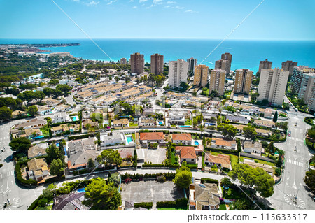 Aerial view Dehesa de Campoamor, village in Orihuela Costa. Spain 115633317