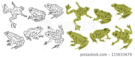 Frog outline and cartoon colored amphibians animal icon set Frog outline and cartoon colored amphibians animal icon set 115633679