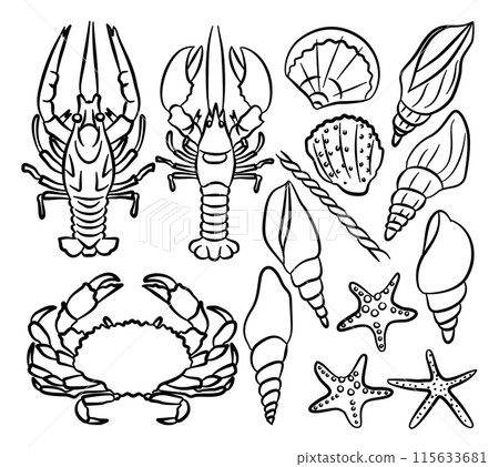 Ocean sea outline animal icon, crabs, seashell, starfishes, crayfish, crawfish Ocean sea outline animal icon, crabs, seashell, starfishes, crayfish, crawfish 115633681