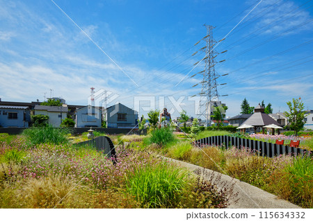 Ornamental Grass Garden Miyamae Park 115634332