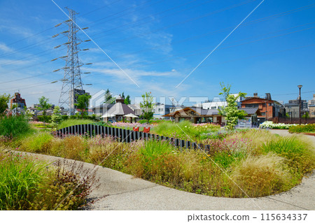 Ornamental Grass Garden Miyamae Park 115634337