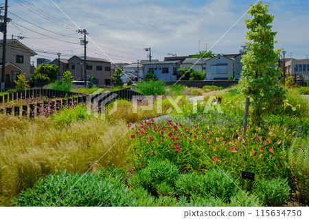 玻璃觀賞園 宮前公園 115634750