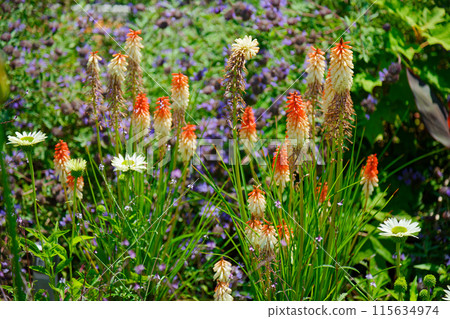 Toritoma Garden Miyamae Park Toritoma Garden Miyamae Park 115634974