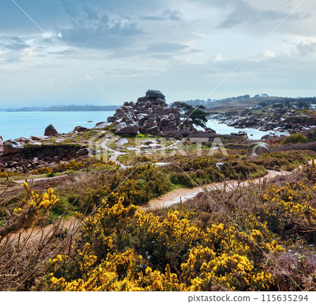 Ploumanach coast spring view (Brittany, France) Ploumanach coast spring view (Brittany, France) 115635294