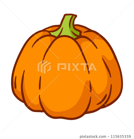 Pumpkin illustration. Autumn harvest of ripe vegetable. 115635339