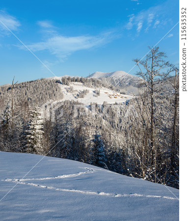 Winter Gorgany massiv mountains scenery view from Yablunytsia pass, Carpathians, Ukraine. Winter Gorgany massiv mountains scenery view from Yablunytsia pass, Carpathians, Ukraine. 115635352