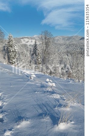 Winter Gorgany massiv mountains scenery view from Yablunytsia pass, Carpathians, Ukraine. 115635354